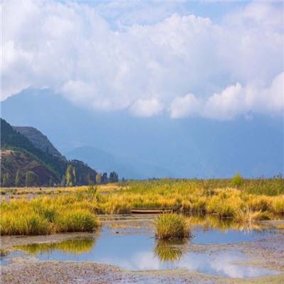 两座城池测试服下载